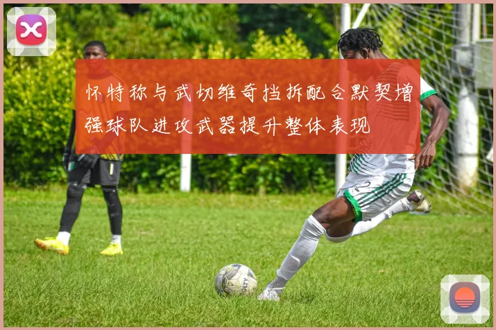 怀特称与武切维奇挡拆配合默契增强球队进攻武器提升整体表现
